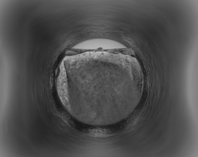 X0000086080691200704132104