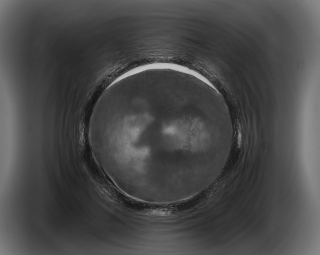 X0000086080692200704132104