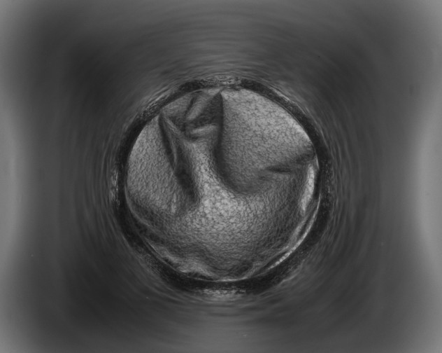 X0000086080693200704132104