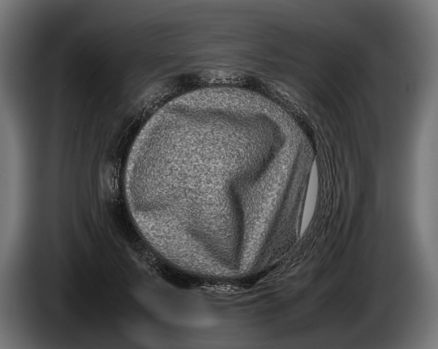 X0000086080695200704132104