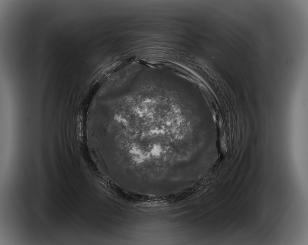 X0000086080696200704132104