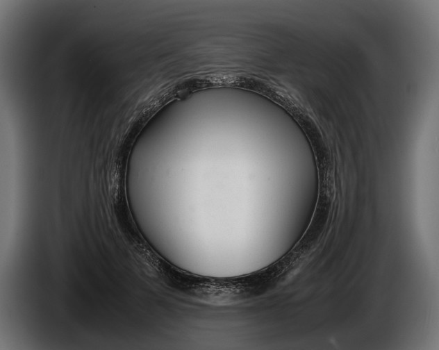 X0000086080697200704132104