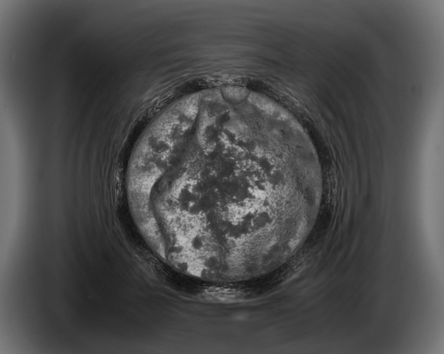 X0000086080699200704132104