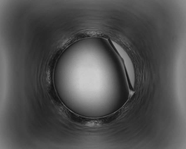 X0000086080700200704132104