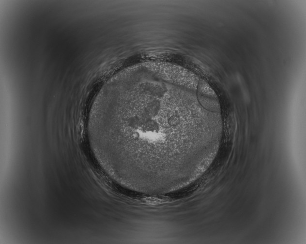 X0000086080703200704132104