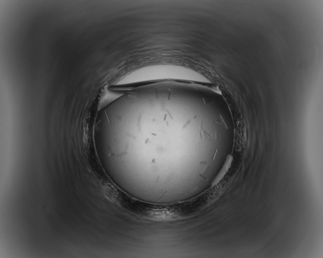 X0000086080704200704132104