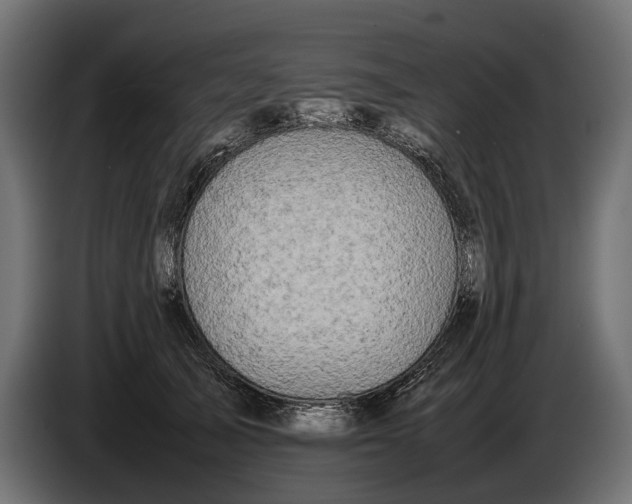 X0000086080705200704132103