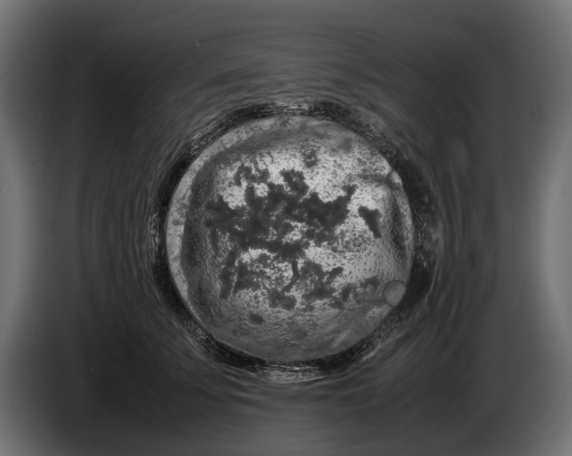 X0000086080707200704132103