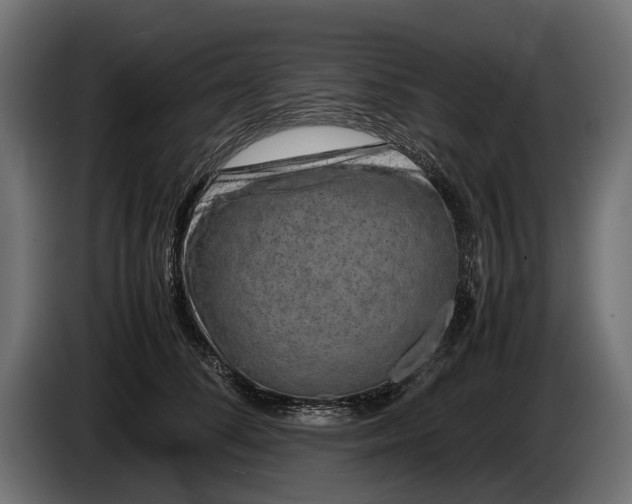 X0000086080708200704132103