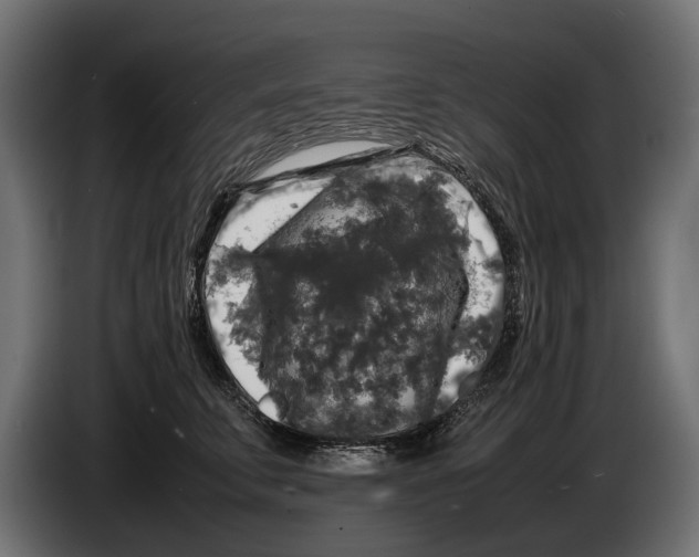 X0000086080711200704132103