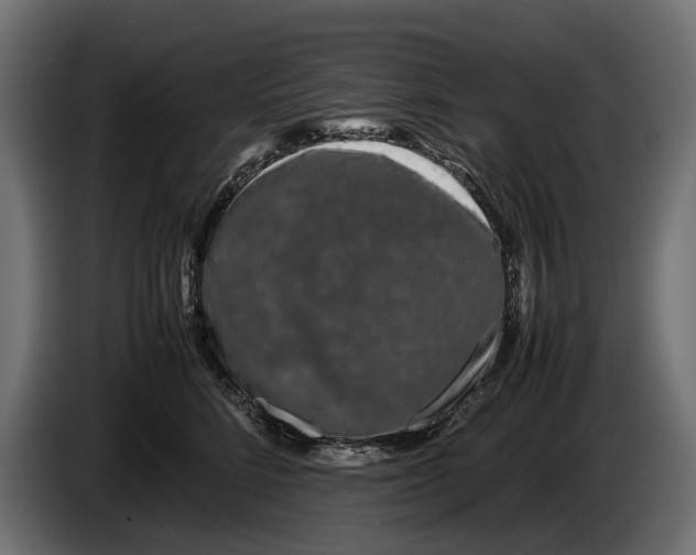 X0000086080712200704132103