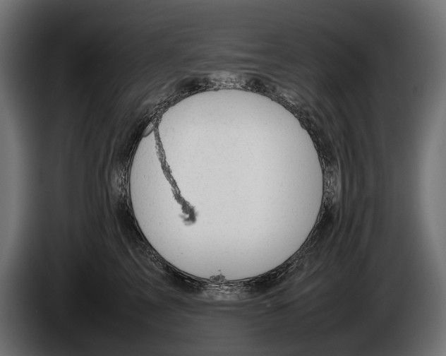 X0000086080713200704132103