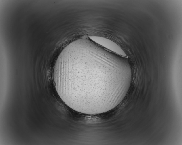 X0000086080714200704132103