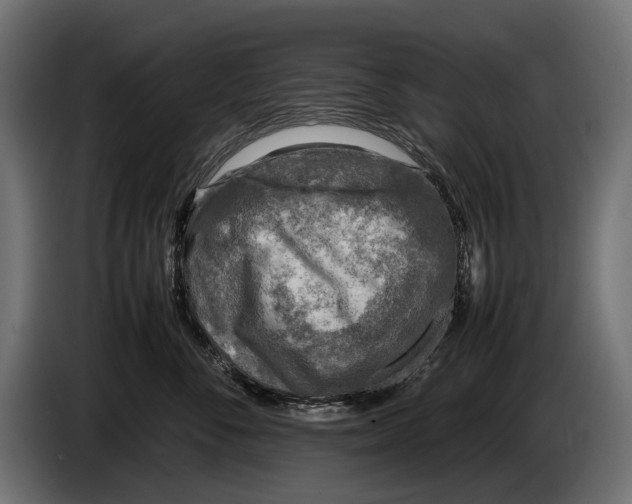 X0000086080716200704132103