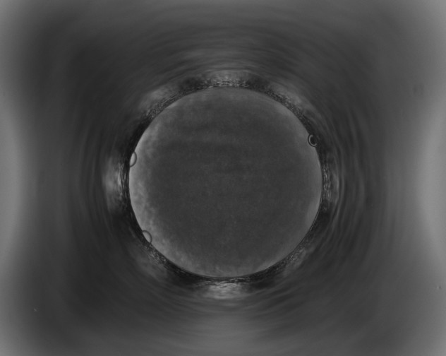 X0000086080718200704132103