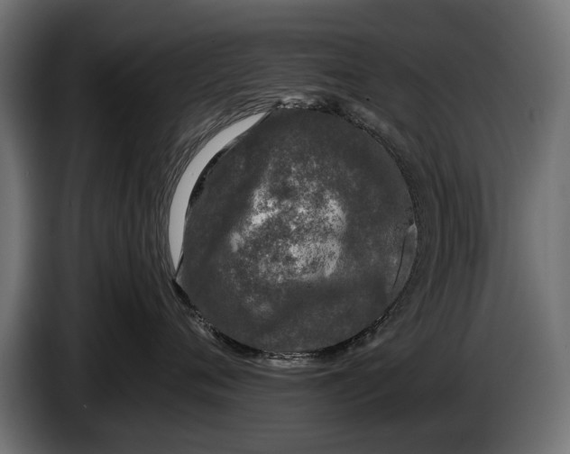 X0000086080720200704132103