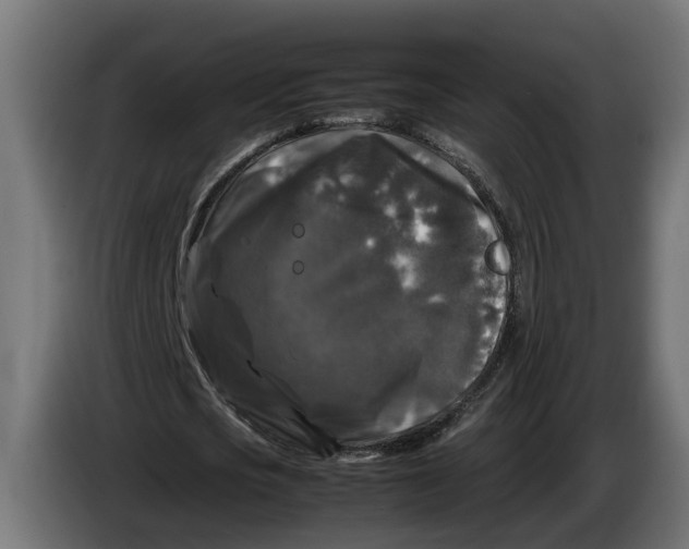 X0000086080721200704132102