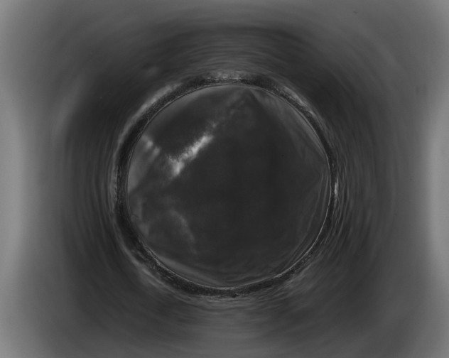 X0000086080722200704132102