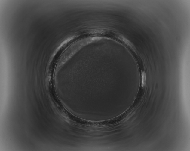 X0000086080723200704132102