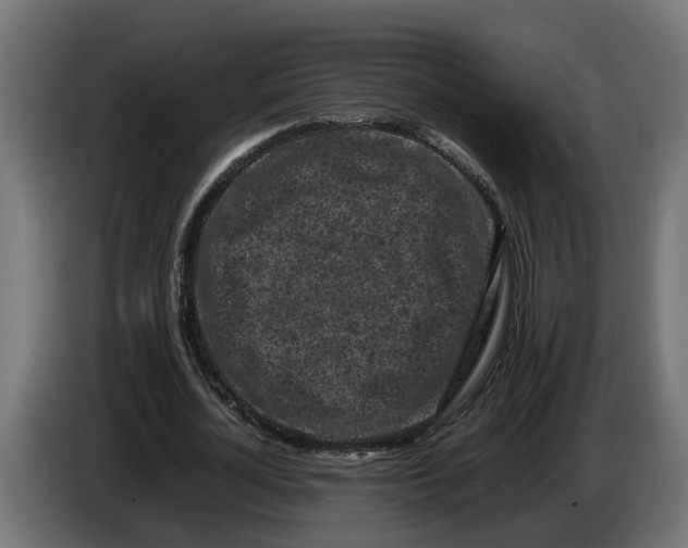 X0000086080724200704132103