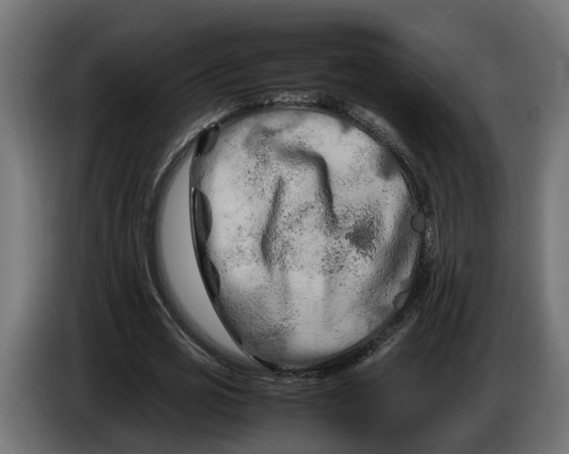 X0000086080725200704132103