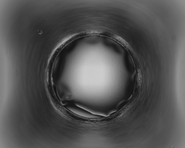 X0000086080726200704132103