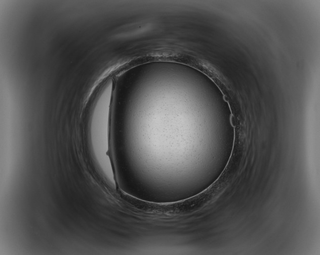 X0000086080727200704132103