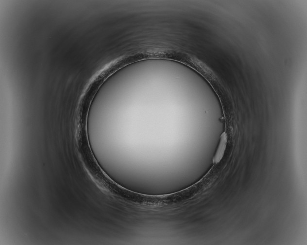 X0000086080728200704132103