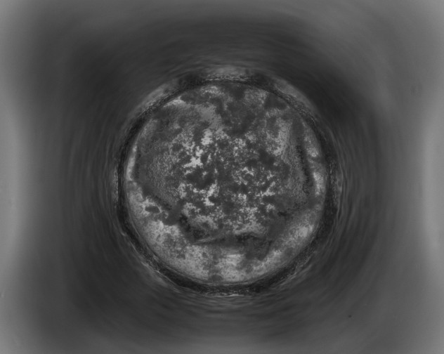 X0000086080729200704132103