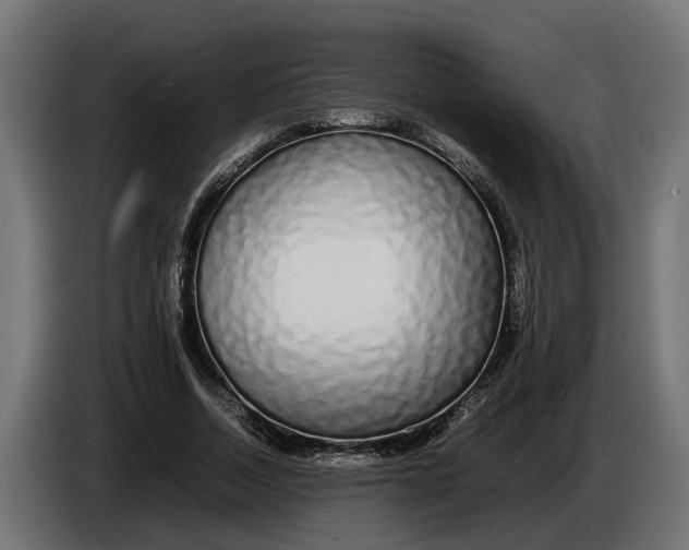 X0000086080730200704132103