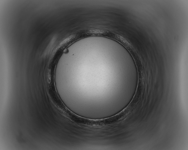 X0000086080731200704132103