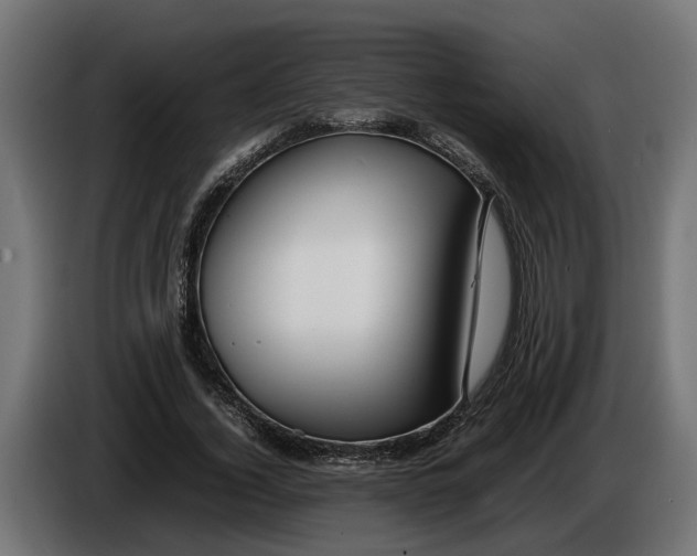 X0000086080732200704132103