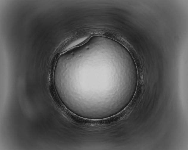 X0000086080733200704132103