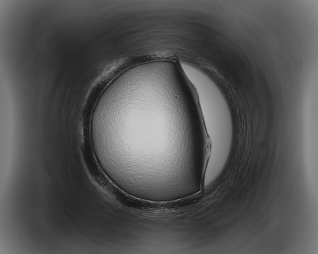 X0000086080734200704132103