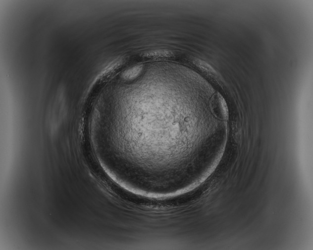 X0000086080735200704132103