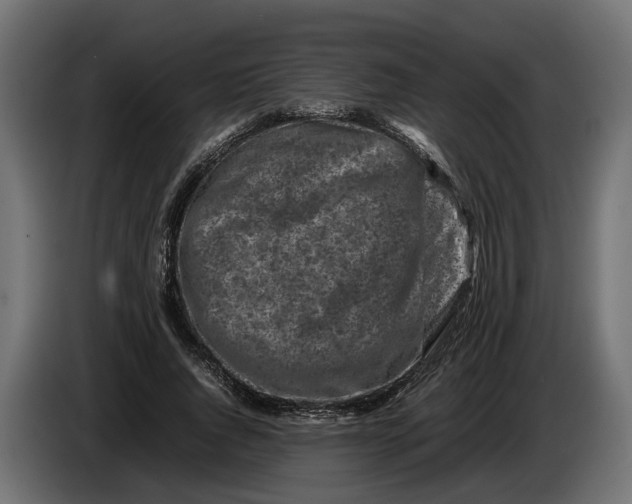 X0000086080736200704132103