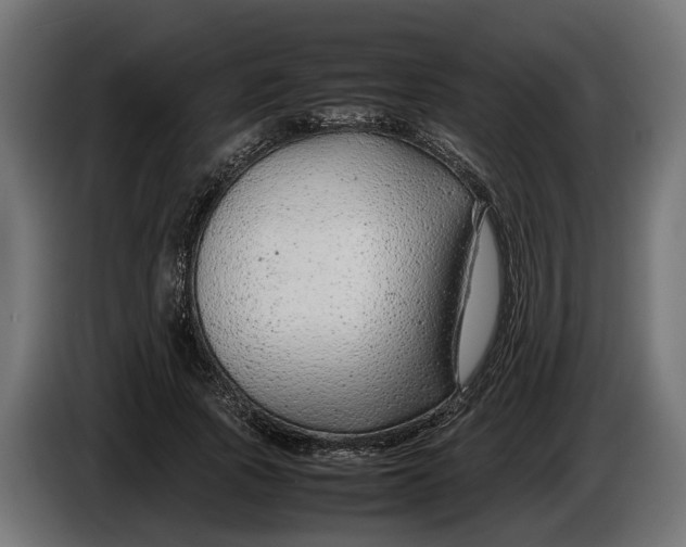 X0000086080737200704132103