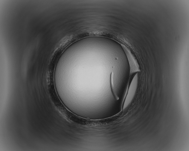 X0000086080738200704132103