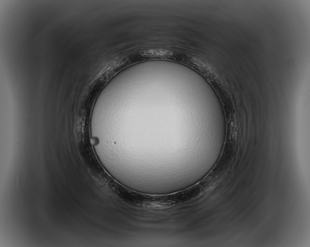 X0000086080739200704132103