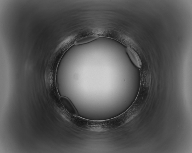 X0000086080740200704132103