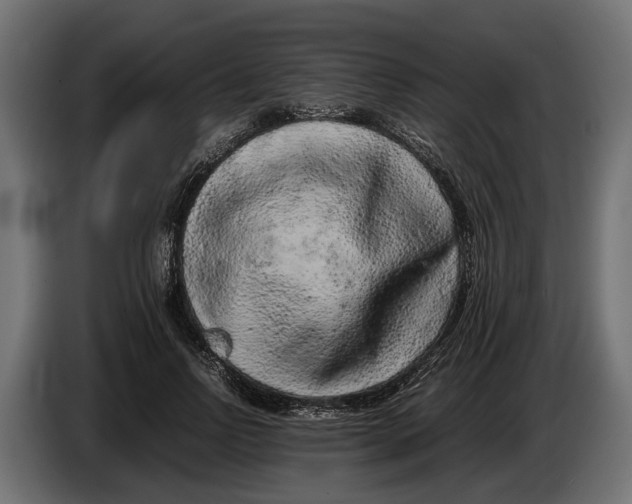 X0000086080742200704132103