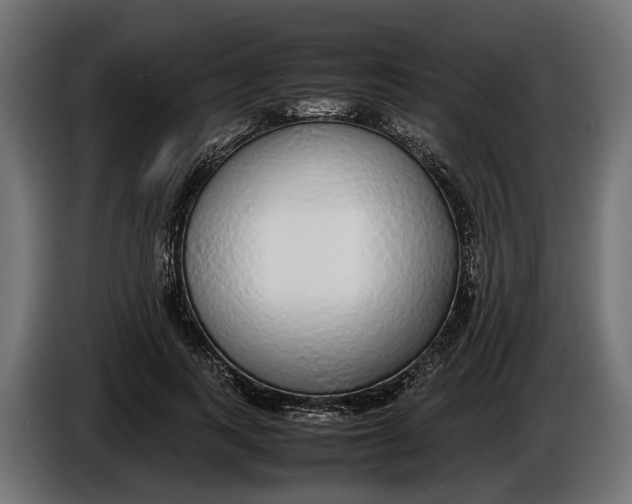 X0000086080743200704132103