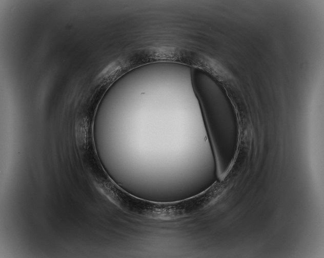 X0000086080744200704132103