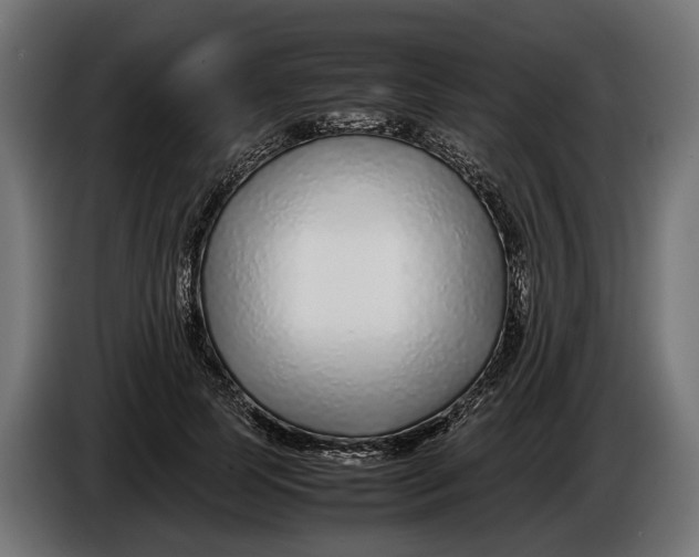 X0000086080745200704132103