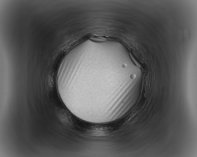 X0000086080746200704132103