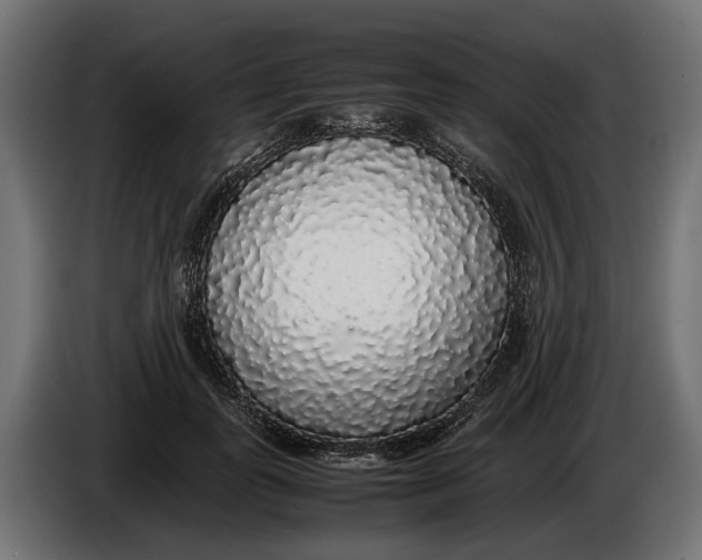 X0000086080747200704132103