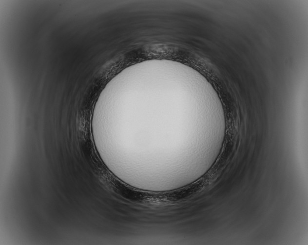 X0000086080749200704132103