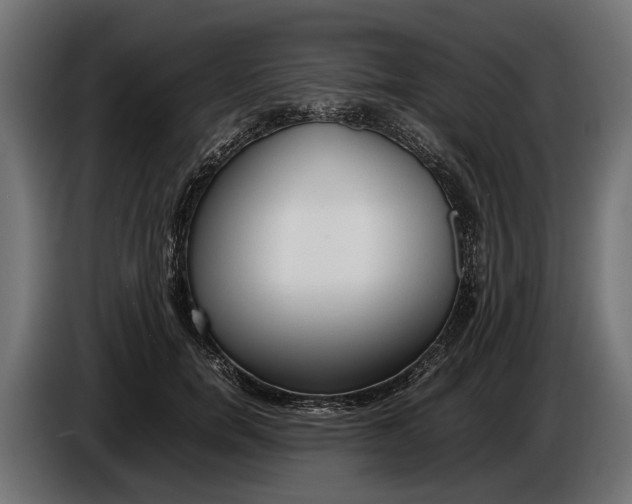 X0000086080750200704132103