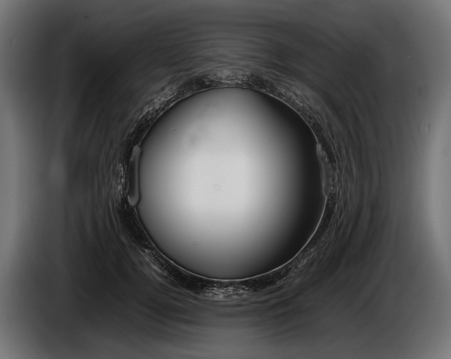 X0000086080752200704132103