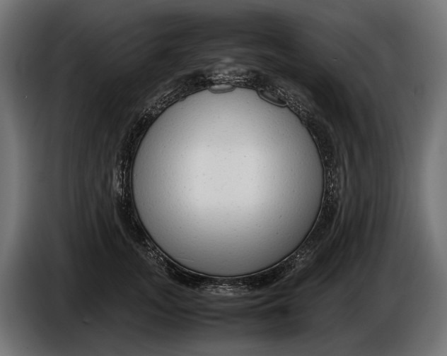 X0000086080755200704132103